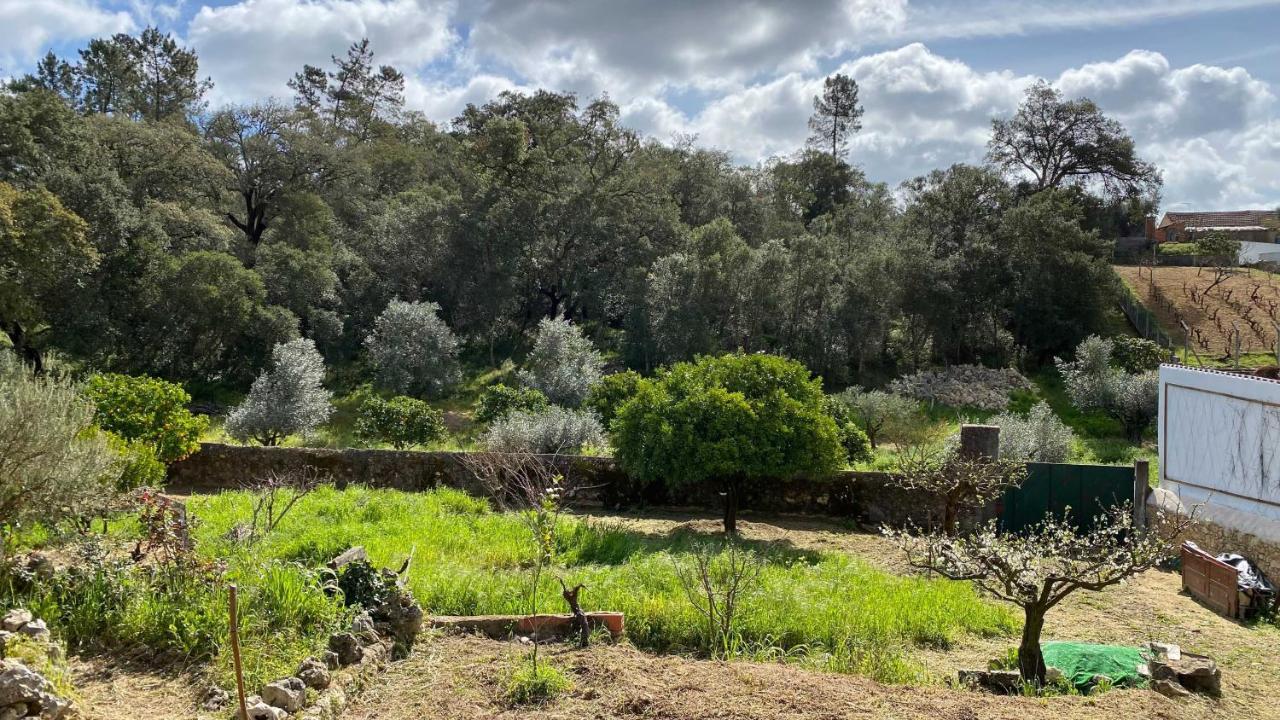 Casalinho In Portugal Country House Tomar Esterno foto